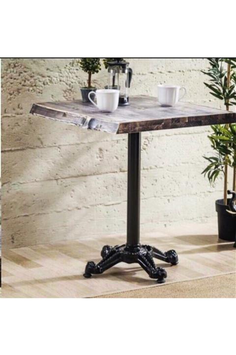 Fatih Ural Döküm Döküm Aslan Ayak