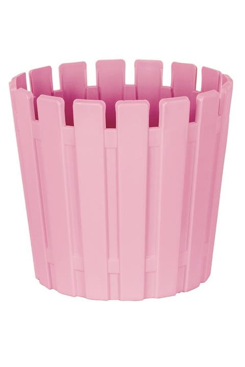MF Botanik Akasya Kaktüs Çiçek Saksısı Dekoratif Kaktüs Saksı 5.5 Cm Pembe Renk