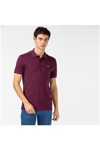 Lacoste Erkek Slim Fit Desenli Mor Polo Yaka T-Shirt