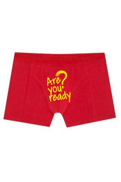 BoxerMasters Are You Ready Baskılı Boxer