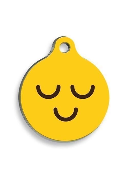 altın pati Mutlu Yuvarlak Kedi Köpek Künyesi