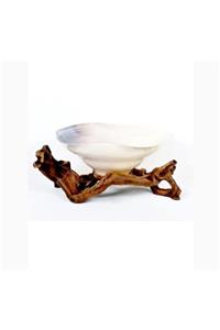 Rdv Home Narture Krem Wood Oval Meyvelik