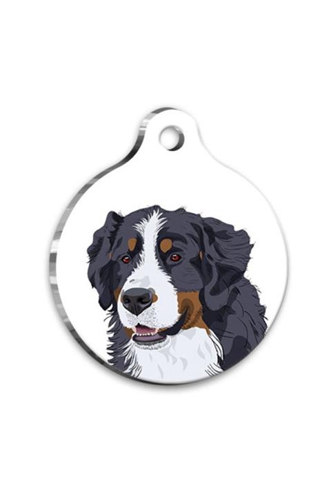 altın pati Tasarım Bernese Mountain Yuvarlak Köpek Künyesi