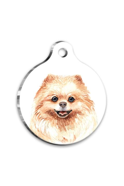 altın pati Suluboya Pomeranian Yuvarlak Köpek Künyesi