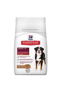 Hills Science Plan Adult Large Breed Lamb Kuzulu Büyük Irk Yetişkin Köpek Maması 12 kg