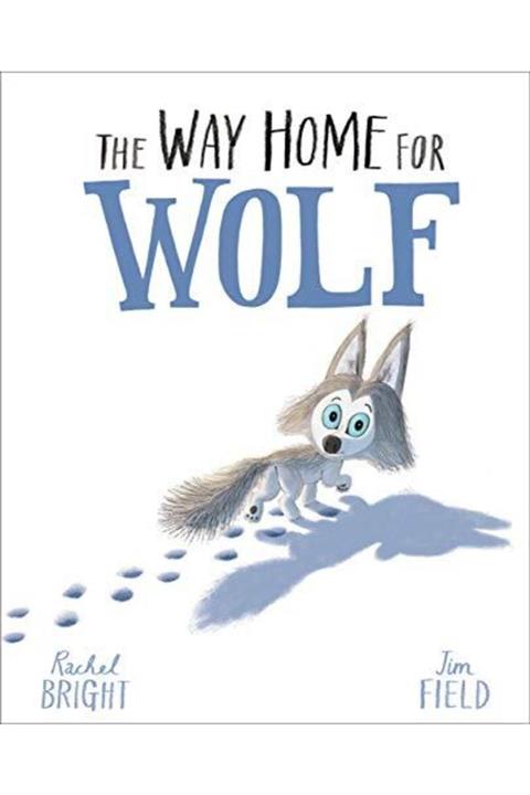 Orchard Books The Way Home For Wolf