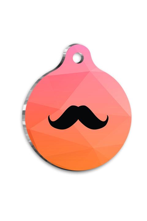 altın pati Bıyıklı Moustache Kedi Köpek Künyesi