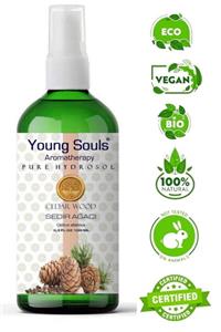 YOUNG SOULS Cedar WoodSedir Ağacı Hidrosol Pure Natural 100 ml