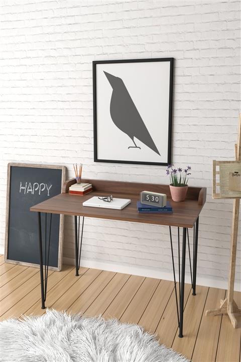 Evdemo Eko Çalışma Masası Ceviz