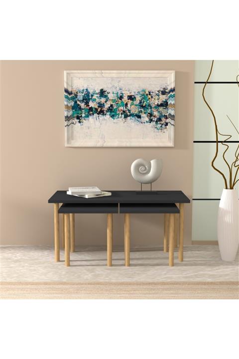 cantek Natural Yan Sehpa Antrasit-antrasit