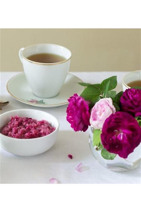 ALİBOTANİK Reçel Gülü Fidanı Rosa Damascena 60 Cm