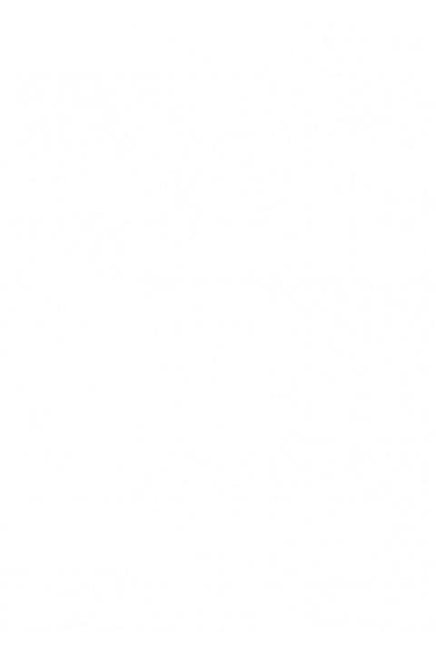 Zurich Güvercin Multivitamin 150 Gr