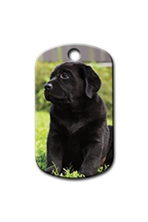 altın pati Siyah Labrador Resimli Köpek Künyesi