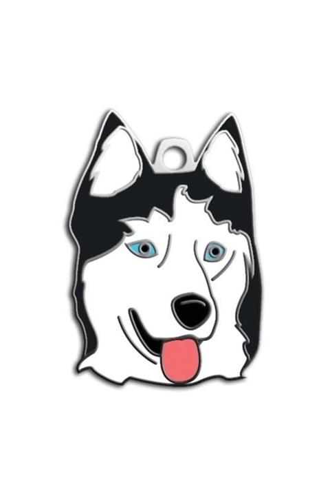 altın pati Sibirya Kurdu Köpek Künyesi