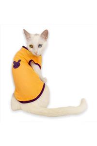 Kemique Lakers Atlet By Kedi Kıyafeti Kedi Elbise