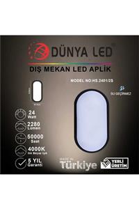 DÜNYA LED Hs.2401/2-s 24w Siyah Kasa Led Glob Armatür 4000k Ilık Beyaz Işık