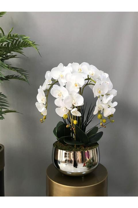 LİLOTEHOME 5 Dal Luxury Islak Beyaz Orkide Aranjman