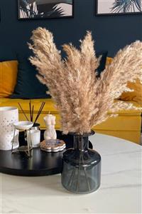 Alyones Dekoratif 7'li Natural Pampas 100cm Boyunda