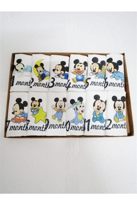 NihalErtenBebe 0-1 Yaş 12'li Aylık Bebek Body Zıbın Seti Çıtçıtlı Badi Set