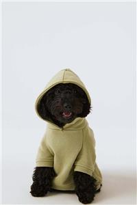 Bruno Society Doğa Dostu Kumaştan Logo Baskılı Kapüşonlu Köpek Sweatshirt