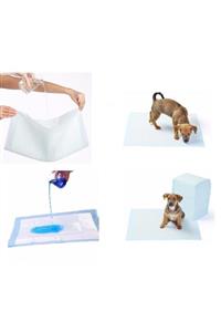 sinerjim Yıkanabilir Köpek Çiş Pedi - 100 X 100 Cm 5li Paket