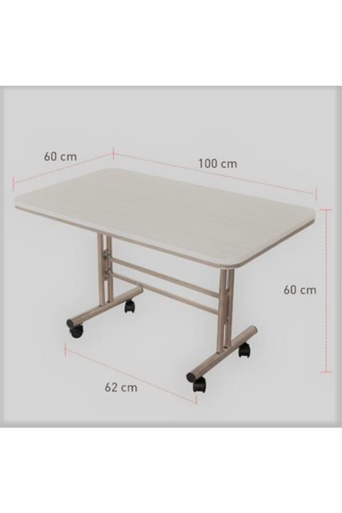 VİE Teknohanem Tekerlekli Orta Sehba 60*100