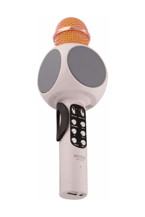 Wster Işıklı Ws 1816 Karaoke Mikrofon