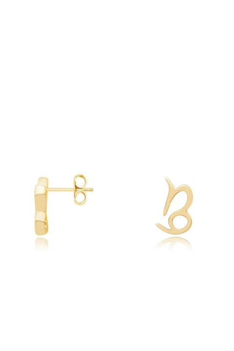 Diamond LineGülaylar Sarı Altın 14 Ayar Oğlak Burç Küpe