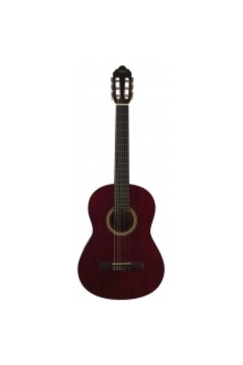 VALENCIA Vc 204twr Klasik Gitar T (kılıf Pena Hediye)