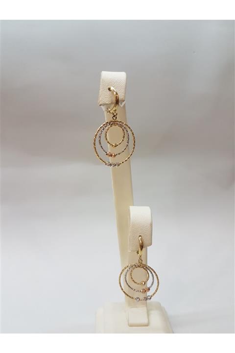 Çelikoğlu Kuyumculuk Kadın 14 Ayar Sarı Beyaz Altın 3 Halka Küpesi