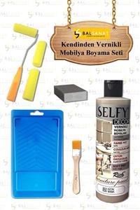 BAL SANAT Kendinden Vernikli Mobilya Boyama Seti Rich Selfy Decor 240 Cc Vizon