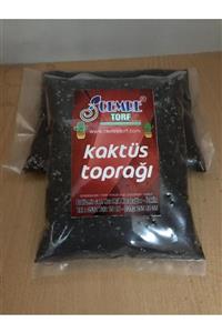 CEMRE Kaktüs Toprağı