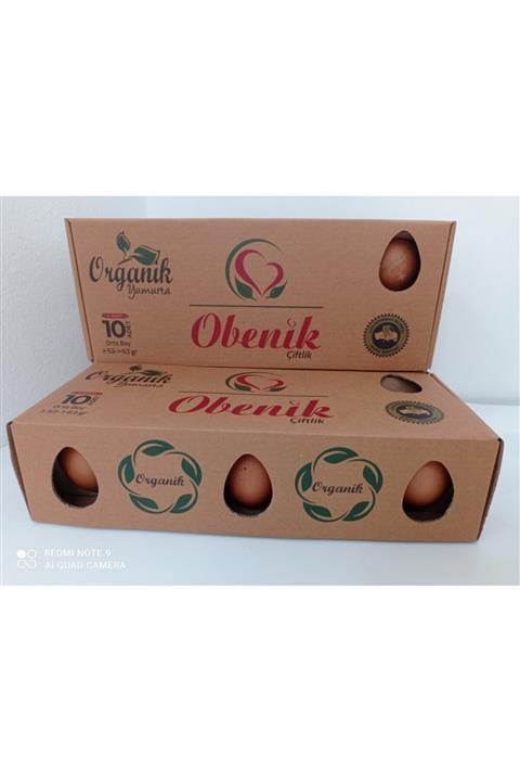 Obenik 10'lu Organik Yumurta