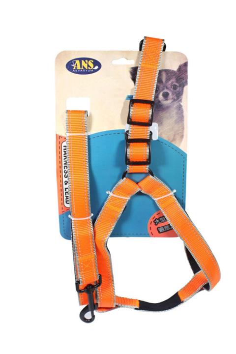 ANS Akvaryum Orta Irk Köpekler Için Fosforlu Göğüs Bel Tasma Ve Uzatma 15 Kg 50-75 Cm