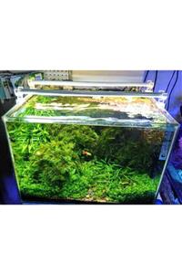 Aqualed Led Aydınlatma Armatür Beyaz 40Cm 6500K