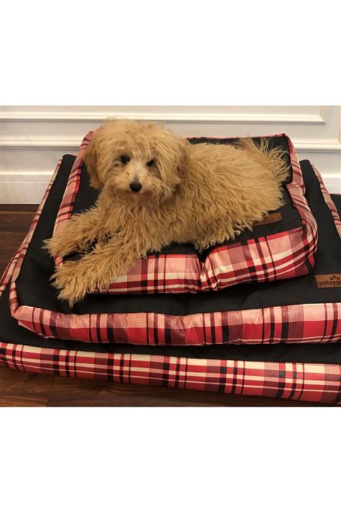 petsygoo Roma Serisi Kedi Yatağı