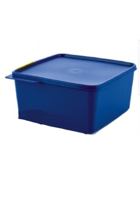 Tupperware Renkli Dikdörtgen 5 lt