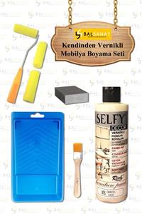BAL SANAT Kendinden Vernikli Mobilya Boyama Seti Rich Selfy Decor 240 Cc Dantel