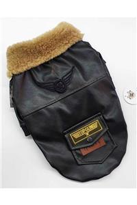 OdinnPetshop Siyah Top Gun Nakışlı Deri Mont