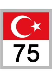 Apex 75 Ardahan Türk Bayrağı Ve Plaka Kodu Ön Cam Sticker Yapıştırma