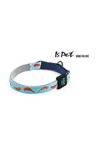 IsPet Jacks Dog Cafe Ispet Balık Boyun Tasması Small 22-30 Cm