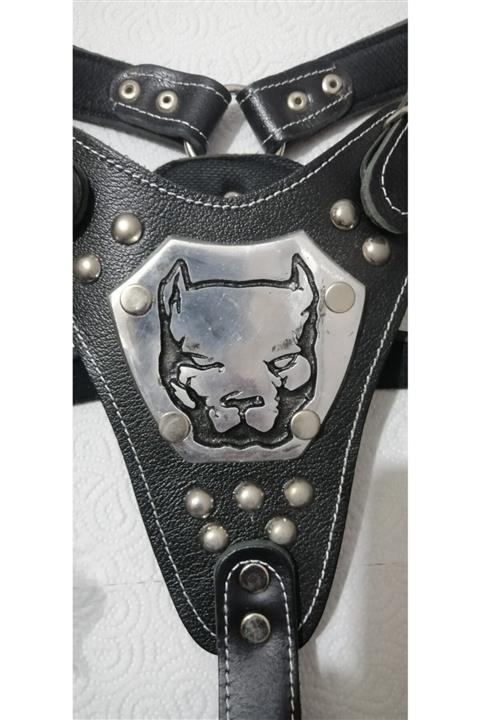 NUNUPET Deri Gladyatör Göğüs Tasması