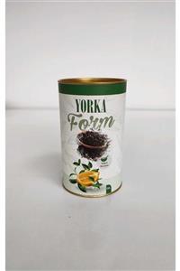 Gezgin bitkici Yorka Form