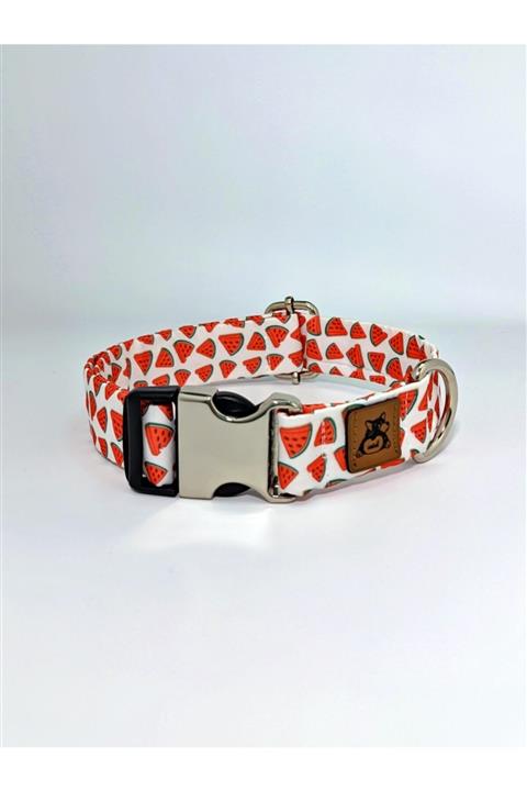 UTDpet Watermelon Köpek Boyun Tasması Medium