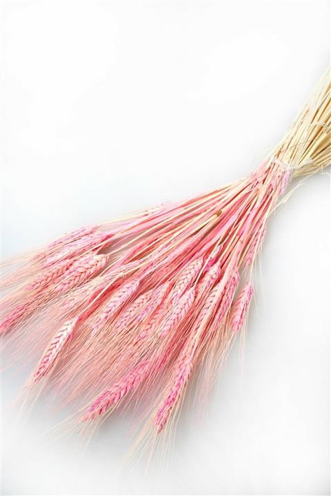 Hanımın Atölyesi Kuru Başak Demeti Açık Pembe