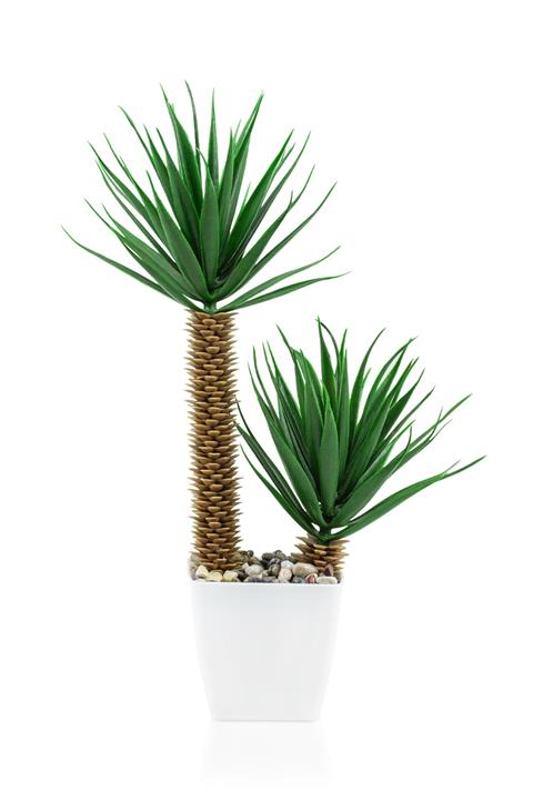 Çiçekmisin Beyaz Plastik Saksıda Iki Dal Yapay Kaktüs Aloevera