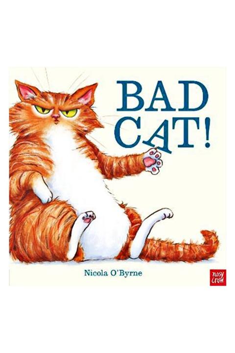 Nosy Crow Bad Cat! #yenigelenler