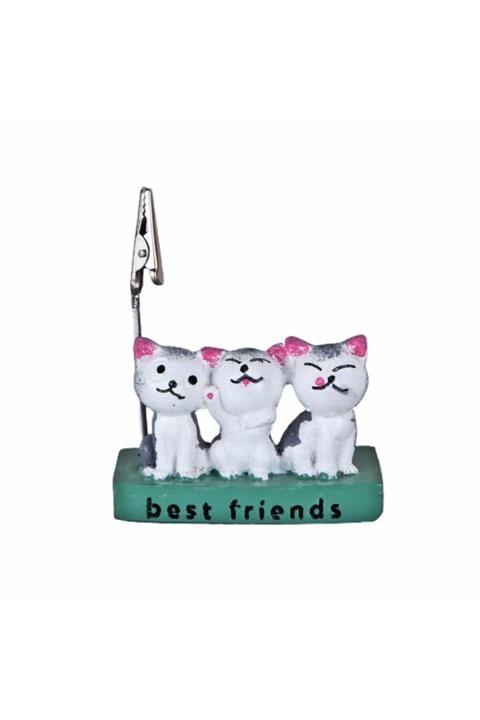 HediyeKanalı Kedi Notluk