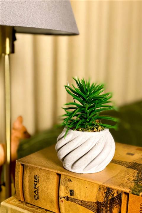 Gift and Story Mini Gri Beton Saksıda Yapay Sukulent