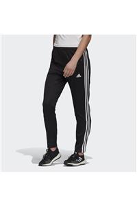 adidas Kadın Siyah Must Haves Snap Eşofman Altı Fr5110